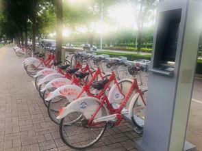 追踪 本报曝光后,这三档民生事都解决了