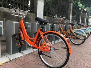 有 v 骑起来更6啦 金华公共自行车升级,明年全市范围投放实心车胎