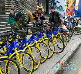 南昌公共自行车市场迎来 过江龙 手机扫码就能租
