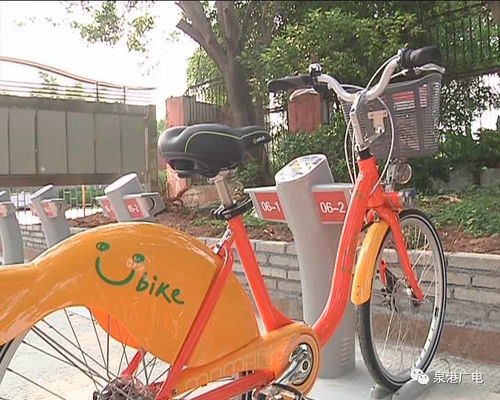600辆公共自行车来啦 骑行一个小时内不用花钱